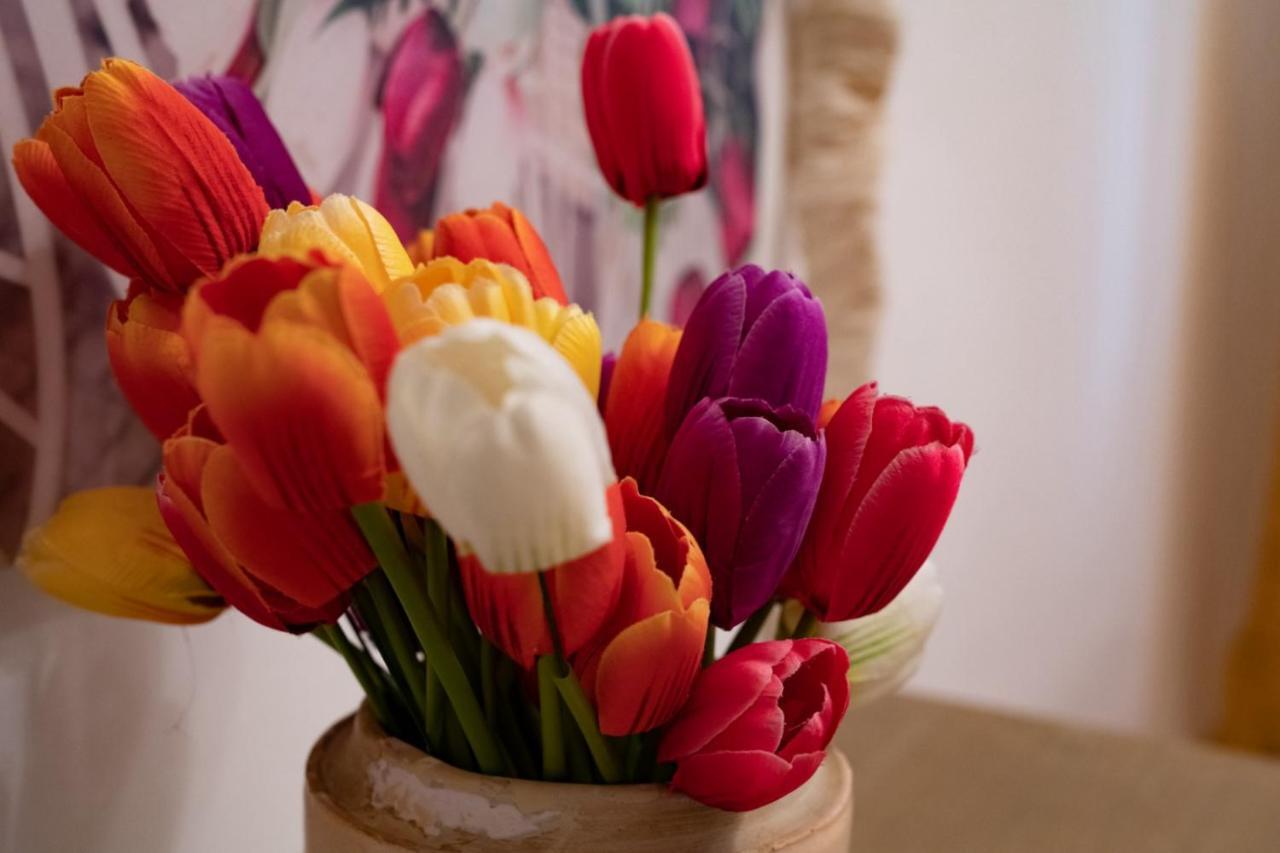 Palazzo Armini Bed & Breakfast Rogliano