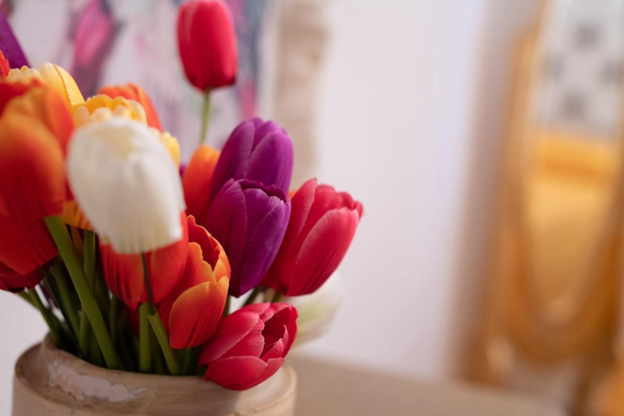 Bed & Breakfast Palazzo Armini *